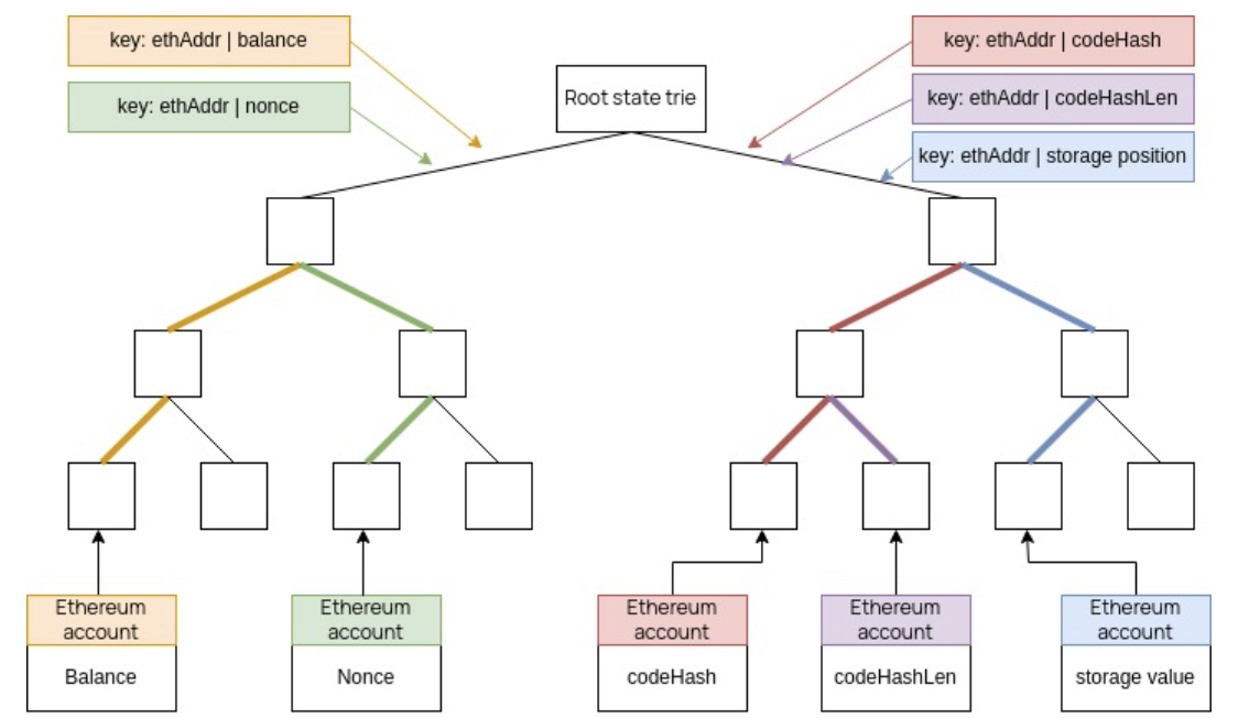 A simplified Polygon zkEVM's state trie