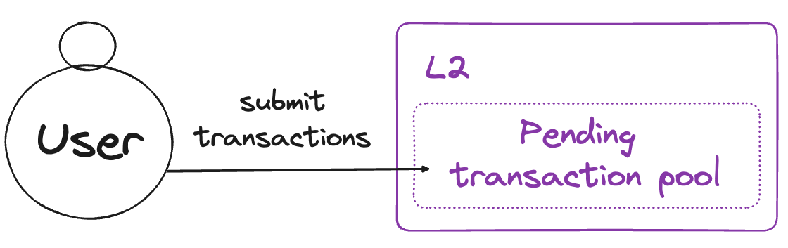 User submitting transactions to L2