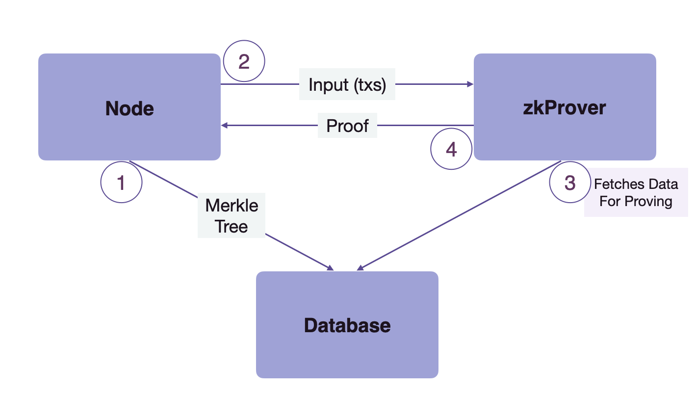 zkProver, the Node, and Database 